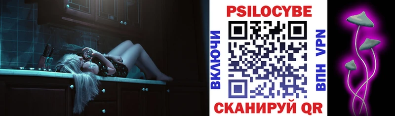 где купить   Калининград  Псилоцибиновые грибы Psilocybine cubensis 